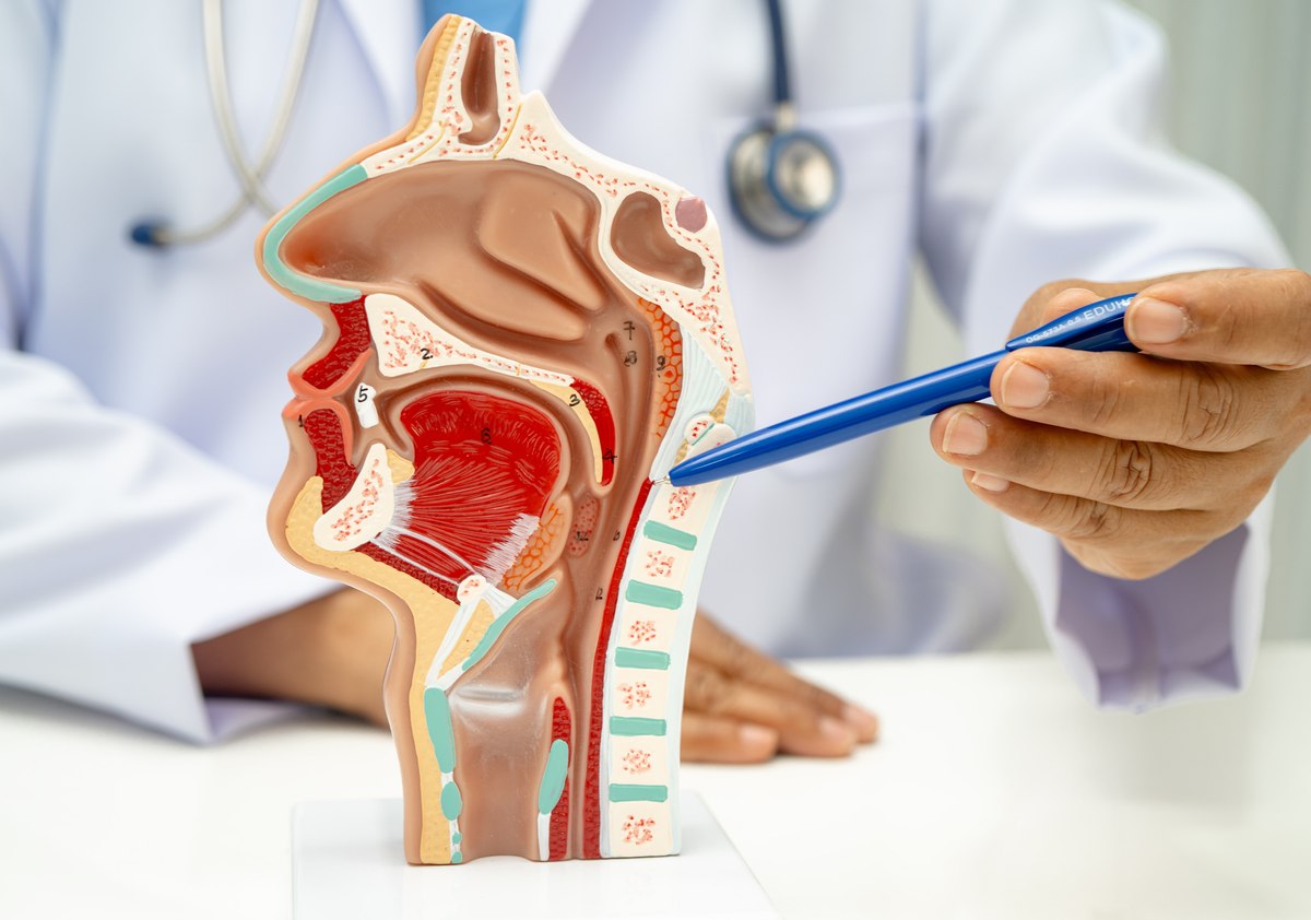 LPRD: What the 2026 State-of-the-Art Review Changes for Practice