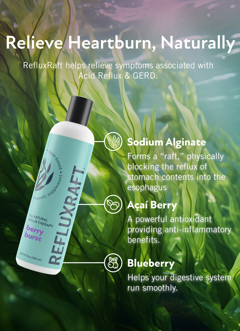 RefluxRaft Berry Burst: All Day Heartburn & Acid Reflux Relief - RefluxRaft