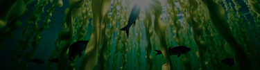 Do You Still Have Questions About Reflux Raft? - FAQs